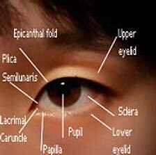 Asian Eyelid Surgery ~ Houston