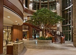 Modern lobby with tree and staircase.